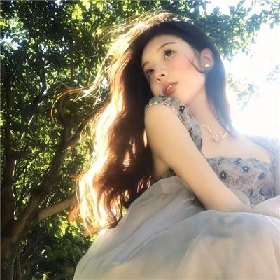 月季花开